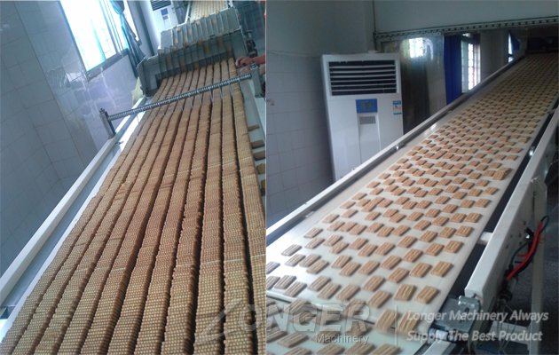 automatic biscuit making machine