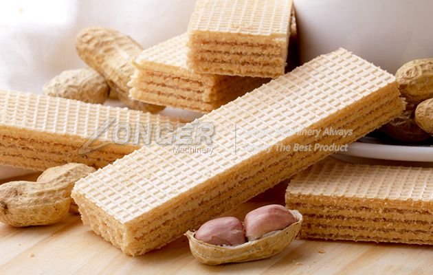 wafer biscuit